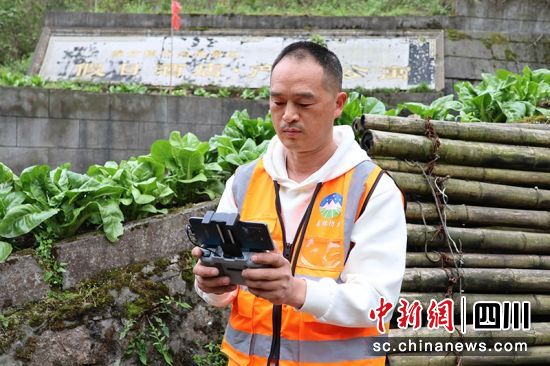 护林员操控无人机进行森林巡护。 绵竹市融媒体中心供图 护林员操控无人机进行森林巡护。 绵竹市融媒体中心供图