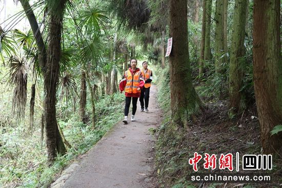 护林员在林区排查火险隐患。 绵竹市融媒体中心供图 护林员在林区排查火险隐患。 绵竹市融媒体中心供图
