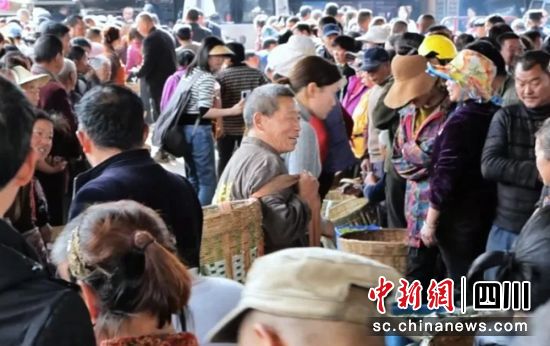 合江村新茶交易现场。 毛晏 供图 合江村新茶交易现场。 毛晏 供图