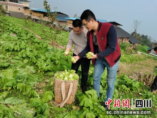 屏山县烟草专卖局(分公司)烟叶科人员正在指导烟农种植蔬菜。罗延宏 摄 屏山县烟草专卖局(分公司)烟叶科人员正在指导烟农种植蔬菜。罗延宏 摄