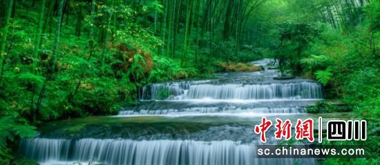 蜀南竹海美丽一景。蜀南文旅集团 供图 蜀南竹海美丽一景。蜀南文旅集团 供图