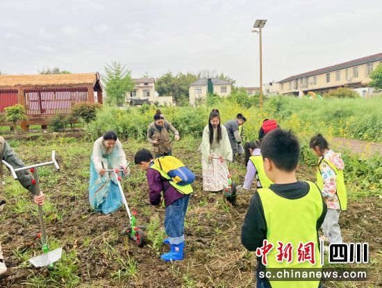 学生们体验农耕劳作。 金鱼镇供图 学生们体验农耕劳作。 金鱼镇供图