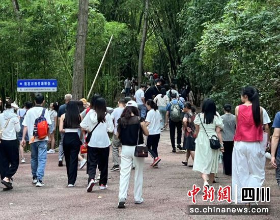 清明小长假川西竹海景区游客大增。邛崃市文旅局供图 清明小长假川西竹海景区游客大增。邛崃市文旅局供图