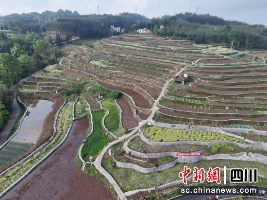 春耕图谱,绘就振兴美景。侯承志 摄 春耕图谱,绘就振兴美景。侯承志 摄
