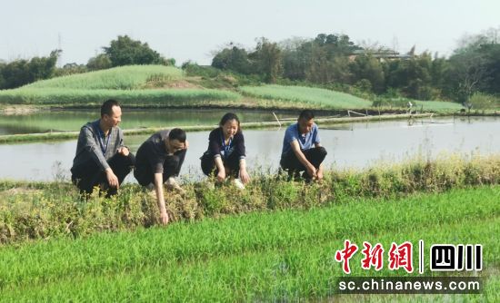 现场督查。贡井区委宣传部 供图 现场督查。贡井区委宣传部 供图
