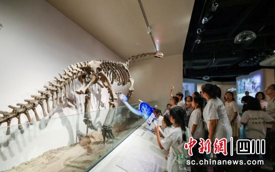 研学活动现场。自贡恐龙博物馆 供图 研学活动现场。自贡恐龙博物馆 供图