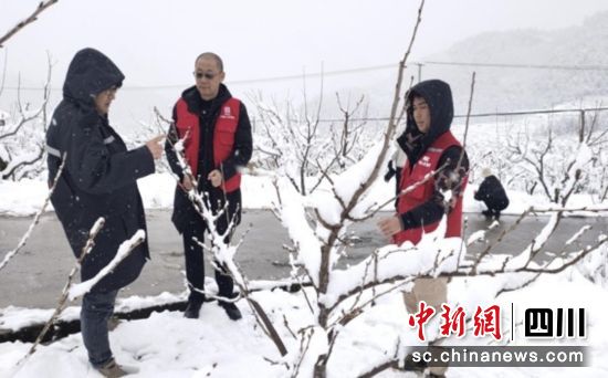 理赔人员开展雪后查勘。攀枝花人保财险供图 理赔人员开展雪后查勘。攀枝花人保财险供图