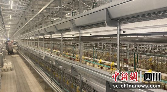 现代化的养殖基地。松潘县委宣传部供图 现代化的养殖基地。松潘县委宣传部供图