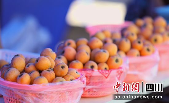 枇杷上市。贡井融媒 供图 枇杷上市。贡井融媒 供图