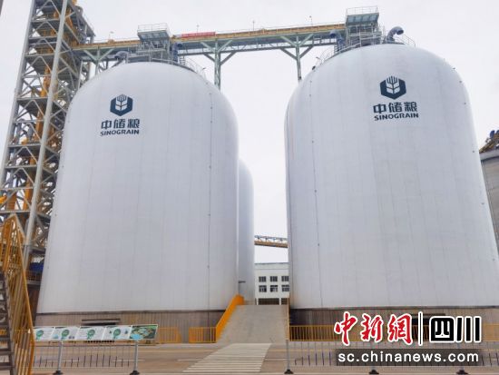 首创架空式粮食气膜仓。成都储藏院 供图 首创架空式粮食气膜仓。成都储藏院 供图