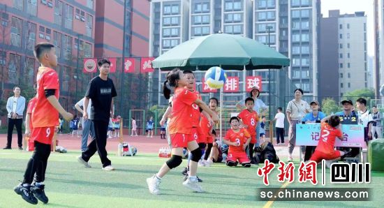 成德眉资青少年气排球邀请赛近日举行。 成都市排球协会供图 成德眉资青少年气排球邀请赛近日举行。 成都市排球协会供图