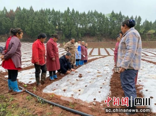 现场给大家讲解。雁江区委宣传部 供图 现场给大家讲解。雁江区委宣传部 供图