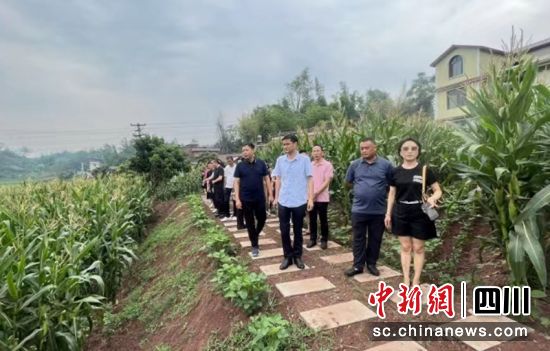 调研现场。富顺融媒 供图 调研现场。富顺融媒 供图