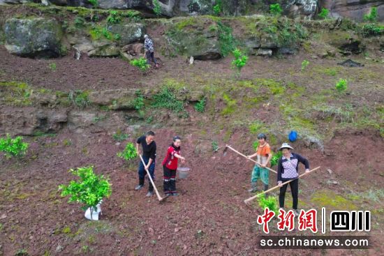 饶春梅夫妇携村民忙劳作。潘政吉 摄 饶春梅夫妇携村民忙劳作。潘政吉 摄