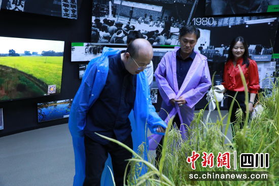 调研现场。邛崃市政府侨台办 供图 调研现场。邛崃市政府侨台办 供图