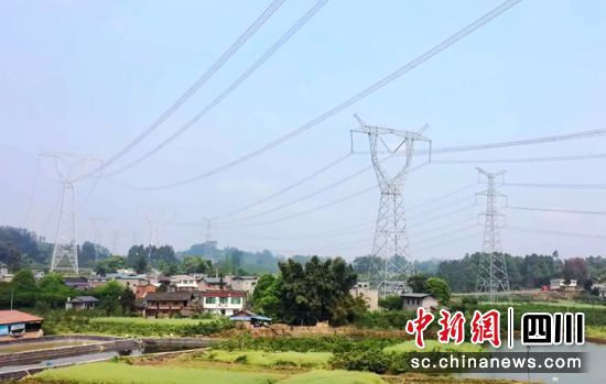 放线完成的川渝1000千伏特高压交流工程丹棱段。陈静 摄 放线完成的川渝1000千伏特高压交流工程丹棱段。陈静 摄