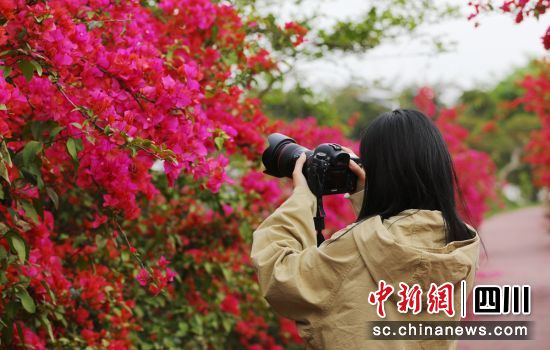 游客拍照留念。贡井融媒 供图 游客拍照留念。贡井融媒 供图