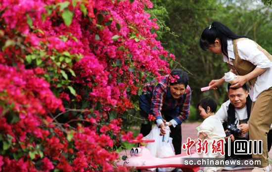 市民游园赏花。贡井融媒 供图 市民游园赏花。贡井融媒 供图
