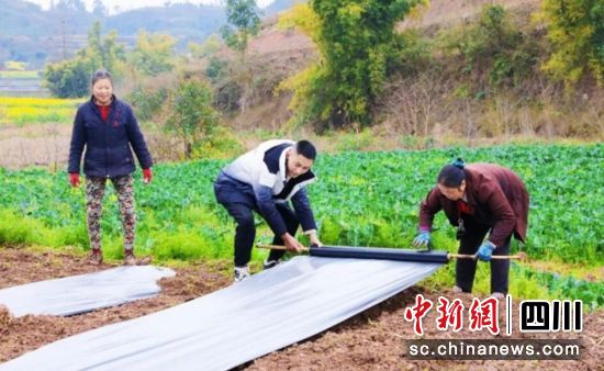 林兵和村民种植现场。(资料图)贡井退役军人事务局 供图 林兵和村民种植现场。(资料图)贡井退役军人事务局 供图