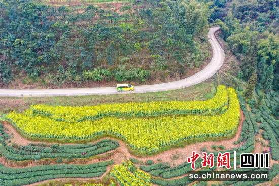 工作人员利用“小黄车”开展森林防灭火宣传。邓建刚 摄 工作人员利用“小黄车”开展森林防灭火宣传。邓建刚 摄