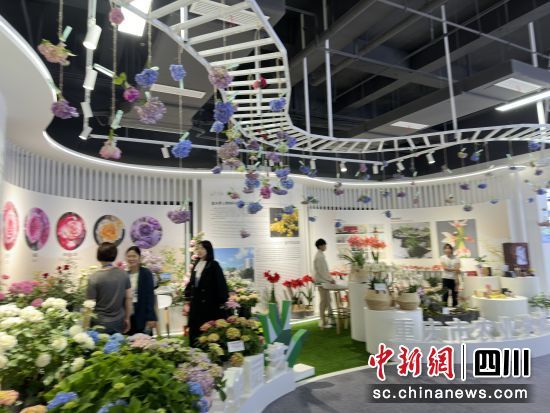 特色场馆打卡。王爵 摄 特色场馆打卡。王爵 摄
