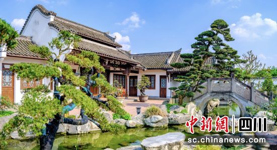 盆景艺术馆。温江区委宣传部供图 盆景艺术馆。温江区委宣传部供图