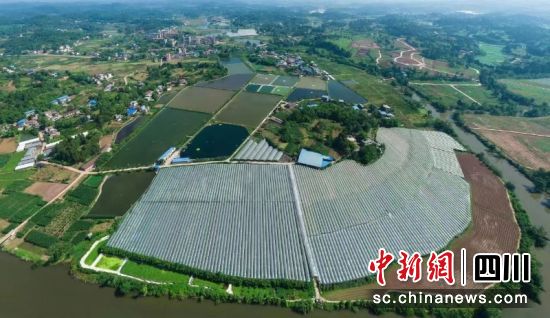 红旗社区尾水湿地。孙小红 摄 红旗社区尾水湿地。孙小红 摄