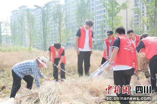 四川科技职业学院学生参与劳动资料图。 四川科技职业学院学生参与劳动资料图。