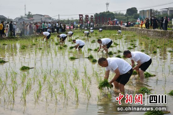 活动现场。龙马潭区融媒体中心供图 活动现场。龙马潭区融媒体中心供图