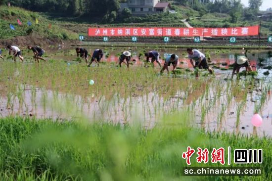 比赛现场。肖光荣 摄 比赛现场。肖光荣 摄