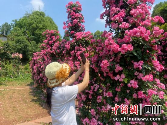 拍照打卡。 秦旭 摄 拍照打卡。 秦旭 摄