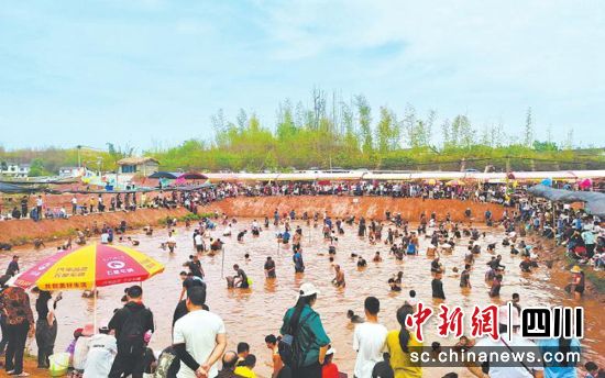 大岩村摸鱼比赛。(资料图)沿滩区委宣传部 供图 大岩村摸鱼比赛。(资料图)沿滩区委宣传部 供图
