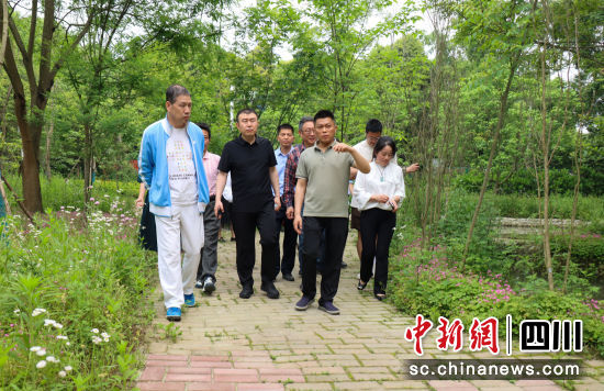考察现场。郫都区融媒体中心 供图 考察现场。郫都区融媒体中心 供图
