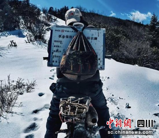 人保财险阿坝松潘支公司工作人员驾驶摩托车前往牧场。人保财险阿坝分公司供图 人保财险阿坝松潘支公司工作人员驾驶摩托车前往牧场。人保财险阿坝分公司供图