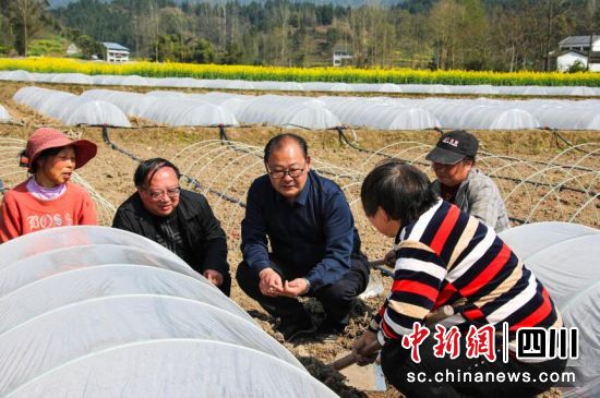 宣汉县农机人员将技术送到田间地头。宣汉县委宣传部供图 宣汉县农机人员将技术送到田间地头。宣汉县委宣传部供图