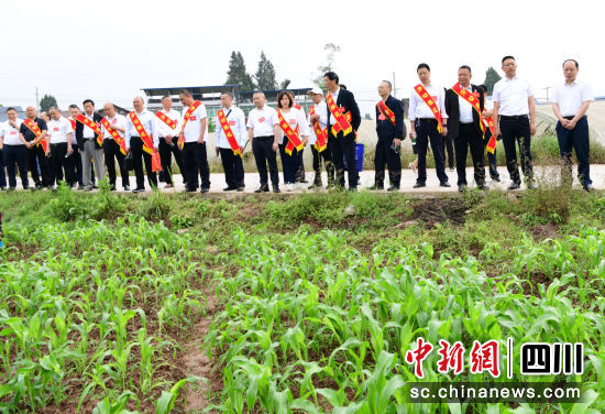 劳模工匠们参观营山县骆市镇竹林社区劳模助残增收示范基地。彭杰 摄 劳模工匠们参观营山县骆市镇竹林社区劳模助残增收示范基地。彭杰 摄