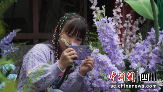 游客正在拍花。宽窄巷子景区 供图 游客正在拍花。宽窄巷子景区 供图