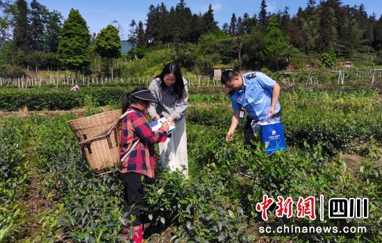 检测“触角”伸入田间地头。雨城融媒 供图 检测“触角”伸入田间地头。雨城融媒 供图