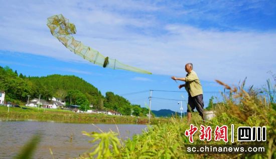 稻虾收获现场。衡欢 摄 稻虾收获现场。衡欢 摄