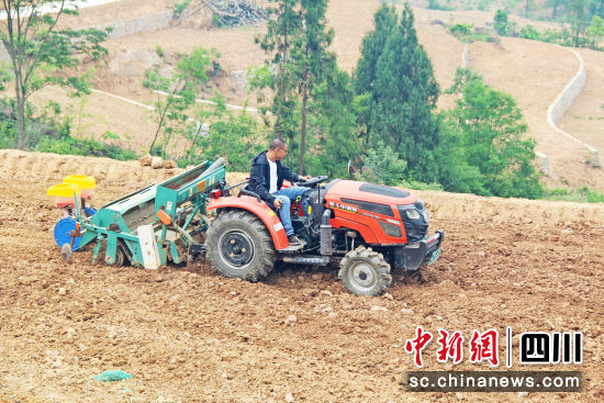 利州区三堆镇飞龙村农机作业种植现场。李霞 摄 利州区三堆镇飞龙村农机作业种植现场。李霞 摄