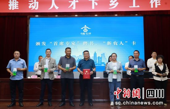 发放聘书。富顺融媒 供图 发放聘书。富顺融媒 供图