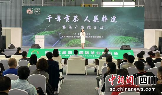 推介会现场。雅茶集团 供图 推介会现场。雅茶集团 供图