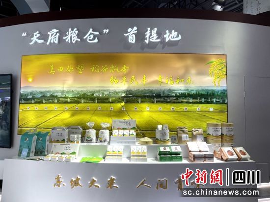眉山馆一角。眉山市发改委供图 眉山馆一角。眉山市发改委供图