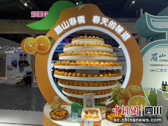 眉山馆一角。眉山市发改委供图 眉山馆一角。眉山市发改委供图