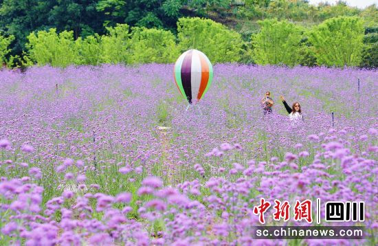 游客观赏游玩。贡井融媒 供图 游客观赏游玩。贡井融媒 供图