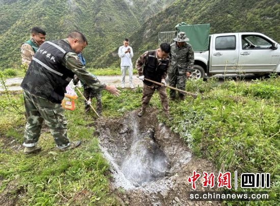 捕猎队对捕获野猪进行无公害化处理。汶川县委宣传部供图 捕猎队对捕获野猪进行无公害化处理。汶川县委宣传部供图