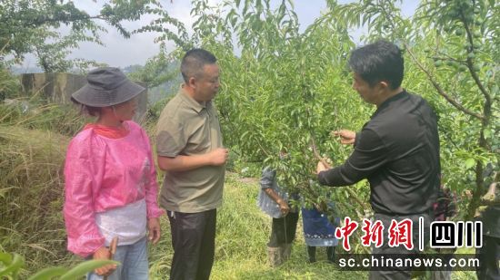 正在给农户讲解。刘倩 摄 正在给农户讲解。刘倩 摄