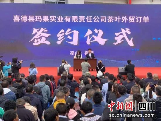 签约仪式现场。米赢 摄 签约仪式现场。米赢 摄