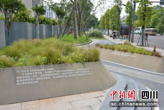 设计别出心裁,绿道变“科普长廊”。黄成薇 摄 设计别出心裁,绿道变“科普长廊”。黄成薇 摄