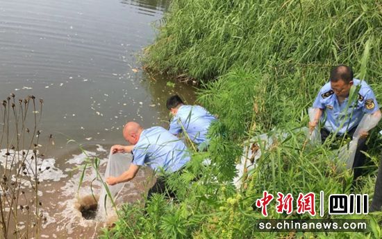增殖放流现场。沿滩融媒供图 增殖放流现场。沿滩融媒供图